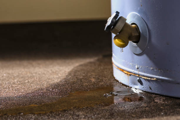 Professional Water damage restoration in LA