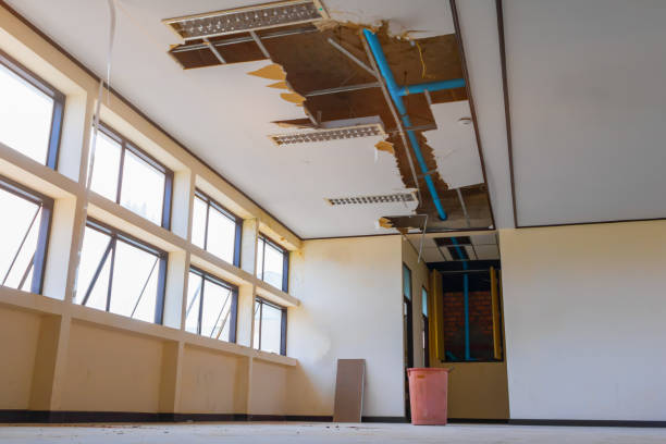 Best Ceiling water damage repair  in Garyville, LA
