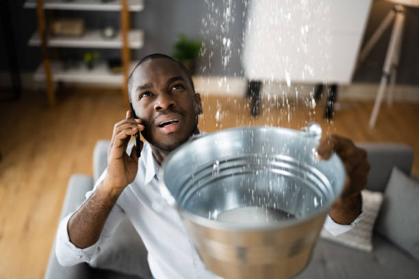 Best Basement water damage restoration  in Garyville, LA