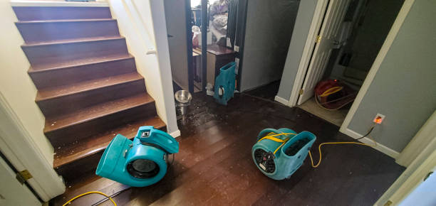 Best Ceiling water damage repair  in Garyville, LA
