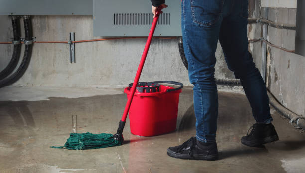 Best Basement water damage restoration  in Garyville, LA