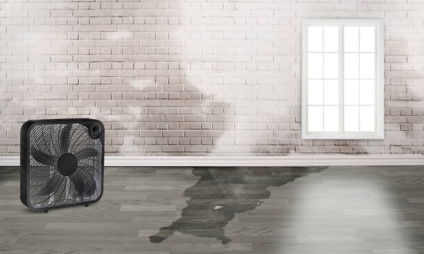 Best Emergency water damage restoration  in Garyville, LA