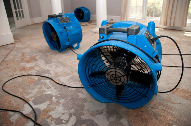 Best Carpet water damage restoration  in Garyville, LA