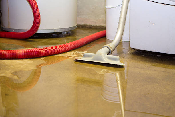 Best Flooded house restoration  in Garyville, LA