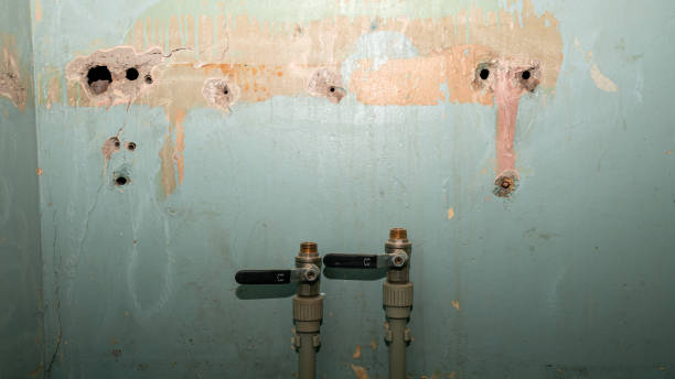 Best Flood restoration services  in Garyville, LA