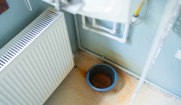 Best Mold removal after water damage  in Garyville, LA