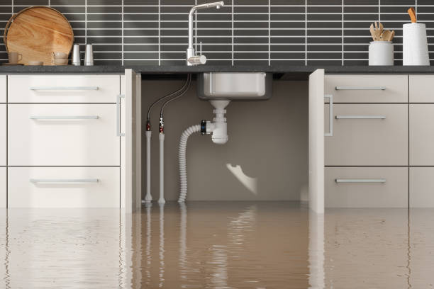 Best Flood damage cleanup  in Garyville, LA