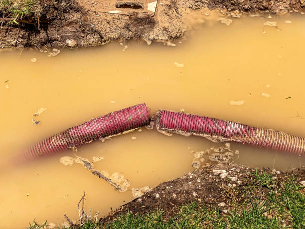 Water damage restoration insurance claims in LA