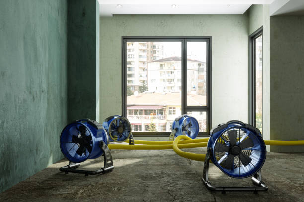 Best Water damage restoration insurance claims  in Garyville, LA
